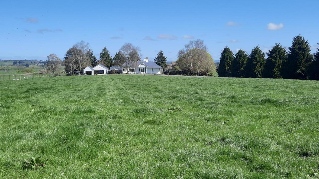 Greenfield Country Homestay Pukeawa Zewnętrze zdjęcie