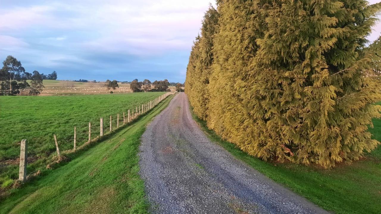 Greenfield Country Homestay Pukeawa Zewnętrze zdjęcie